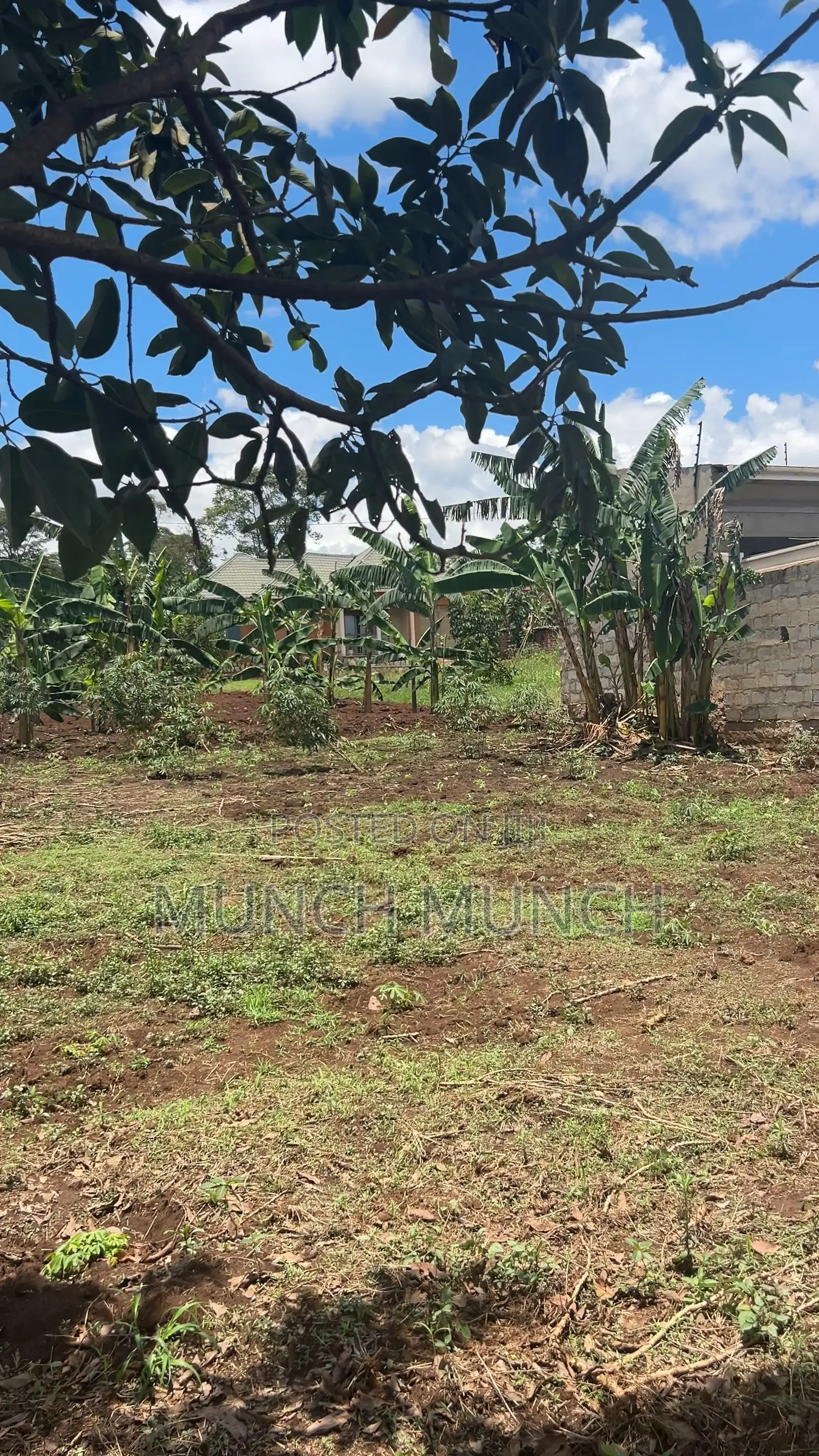 30by50 Feet Plot of Land