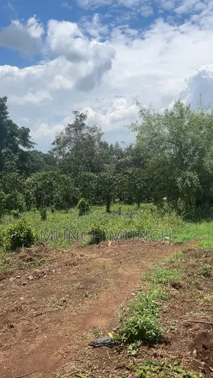 50by100 Feet Plot of Land