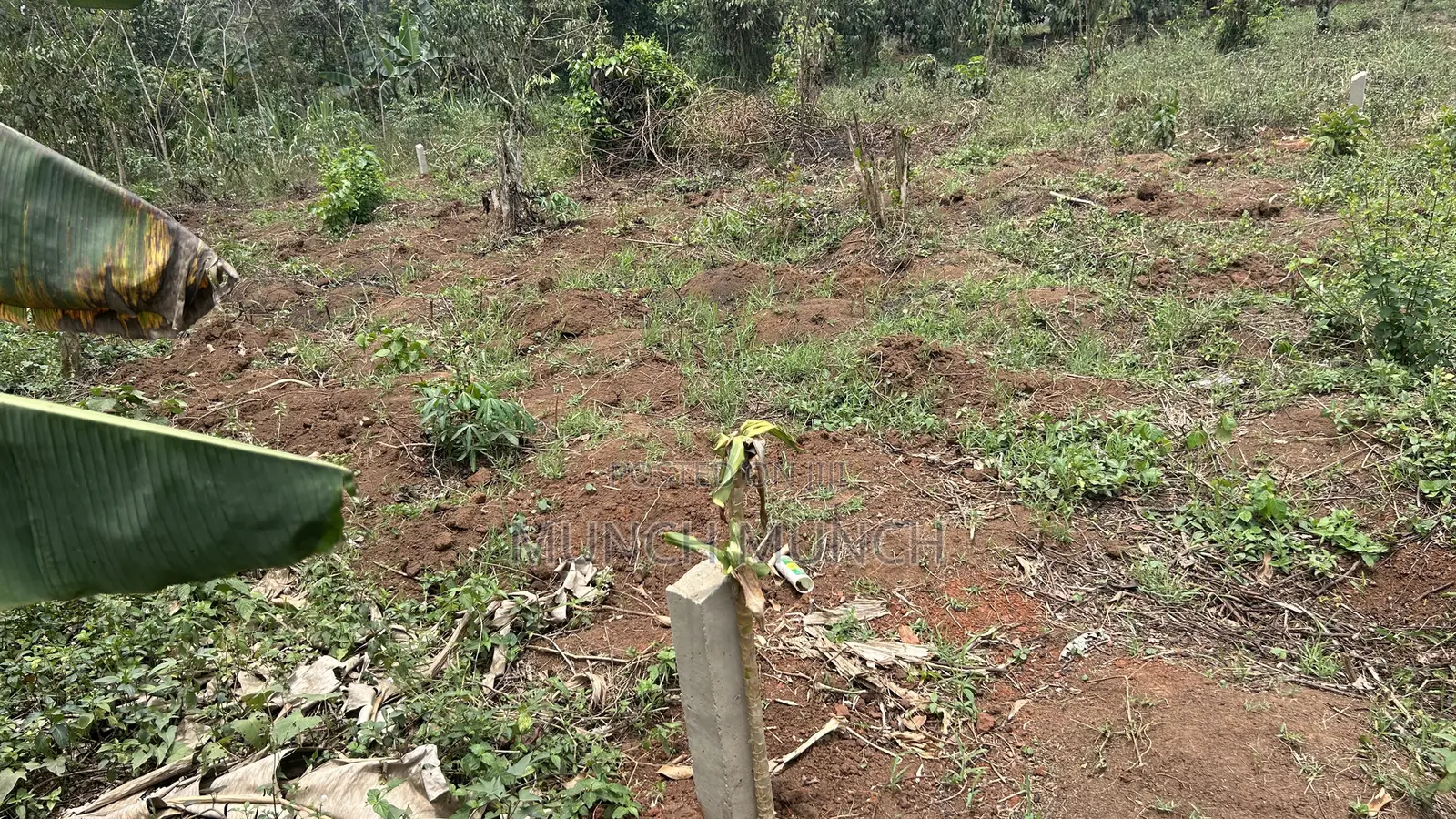 50by100 Feet Plot of Land