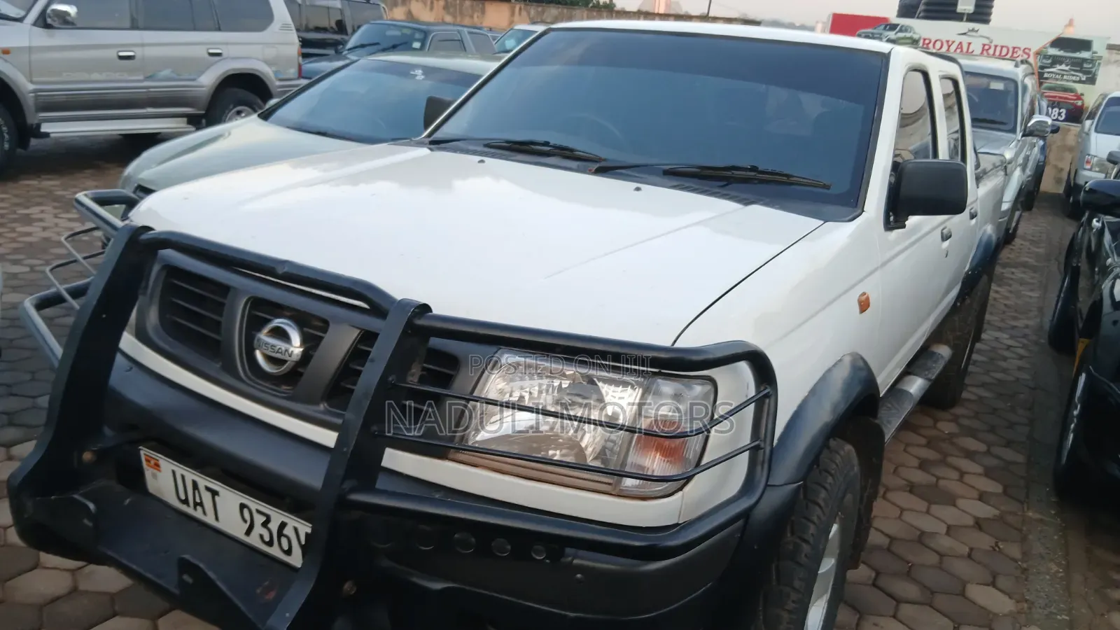 Nissan Hardbody 2005 White