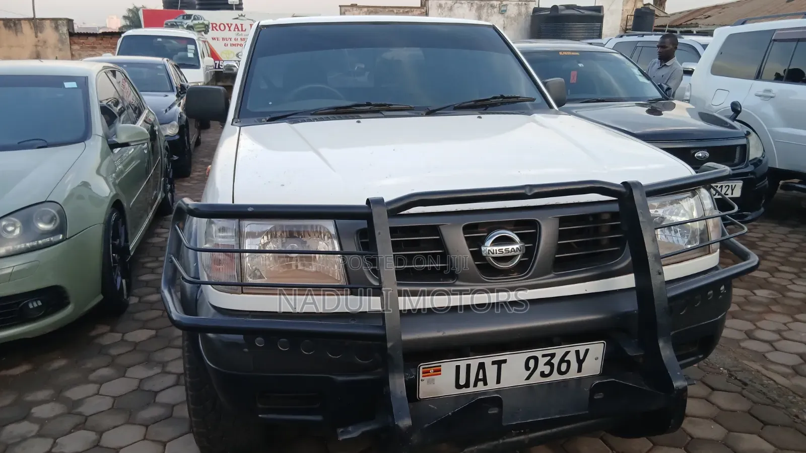Nissan Hardbody 2005 White