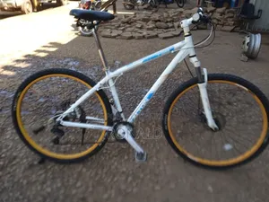 Adult Mountain Bike Size 29 With Double Disc Brakes