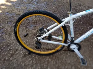 Adult Mountain Bike Size 29 With Double Disc Brakes