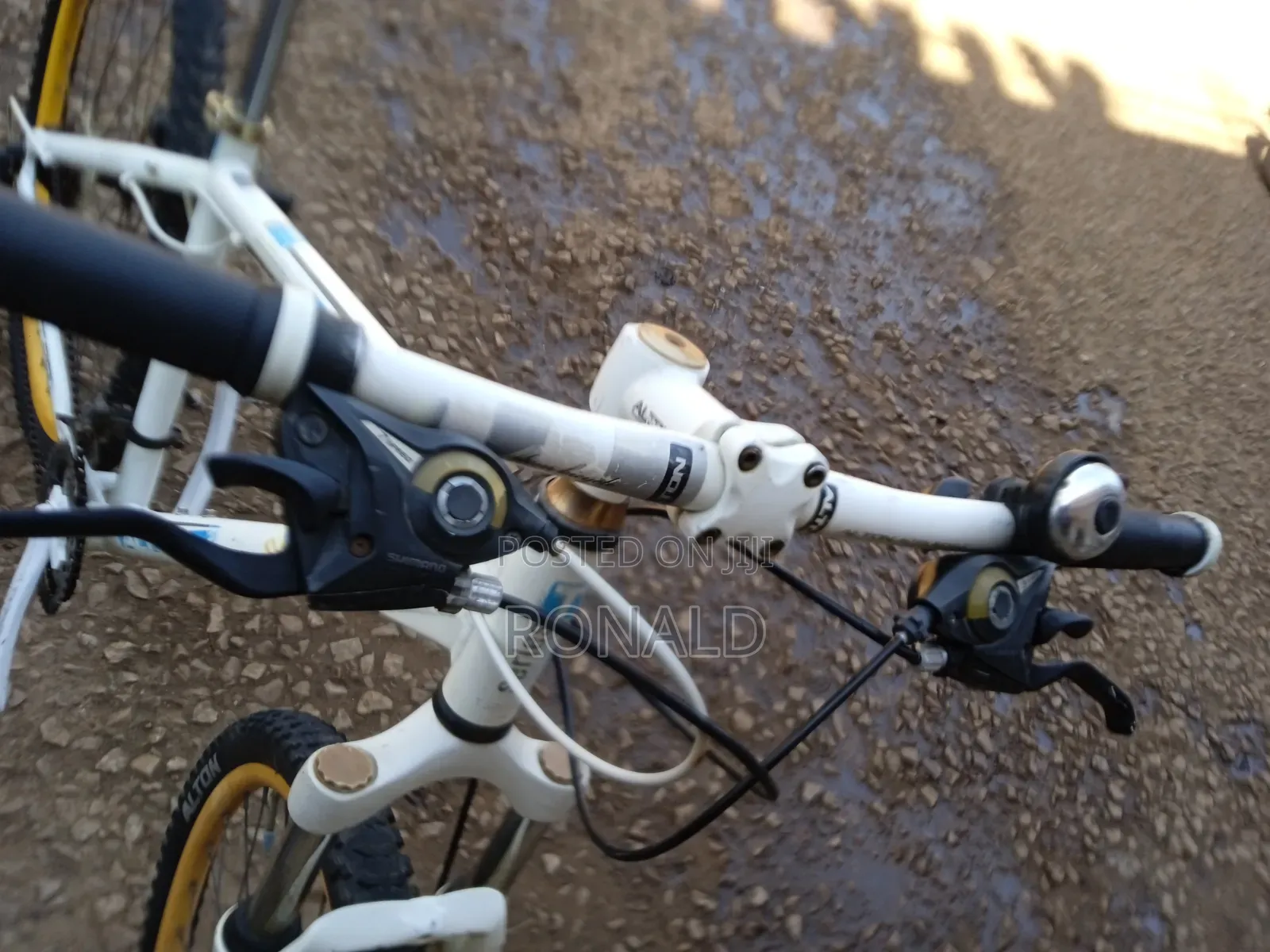 Adult Mountain Bike Size 29 With Double Disc Brakes