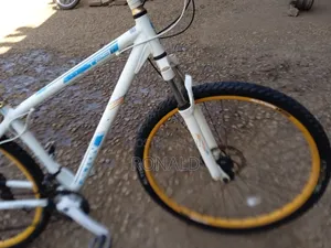 Adult Mountain Bike Size 29 With Double Disc Brakes