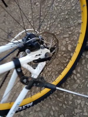 Adult Mountain Bike Size 29 With Double Disc Brakes