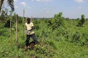 Zirobwe Main Rd 100/100