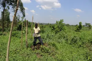 Zirobwe Main Rd 100/100