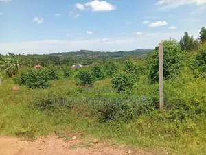 Plots on Sale at Gayaza Busika Kibanga