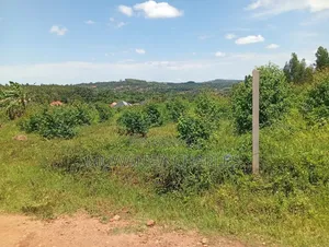 Plots on Sale at Gayaza Busika Kibanga