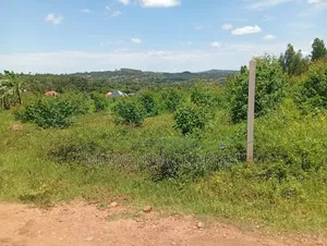 Plots on Sale at Gayaza Busika Kibanga