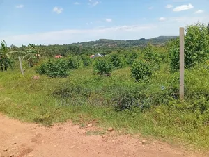 Plots on Sale at Gayaza Busika Kibanga