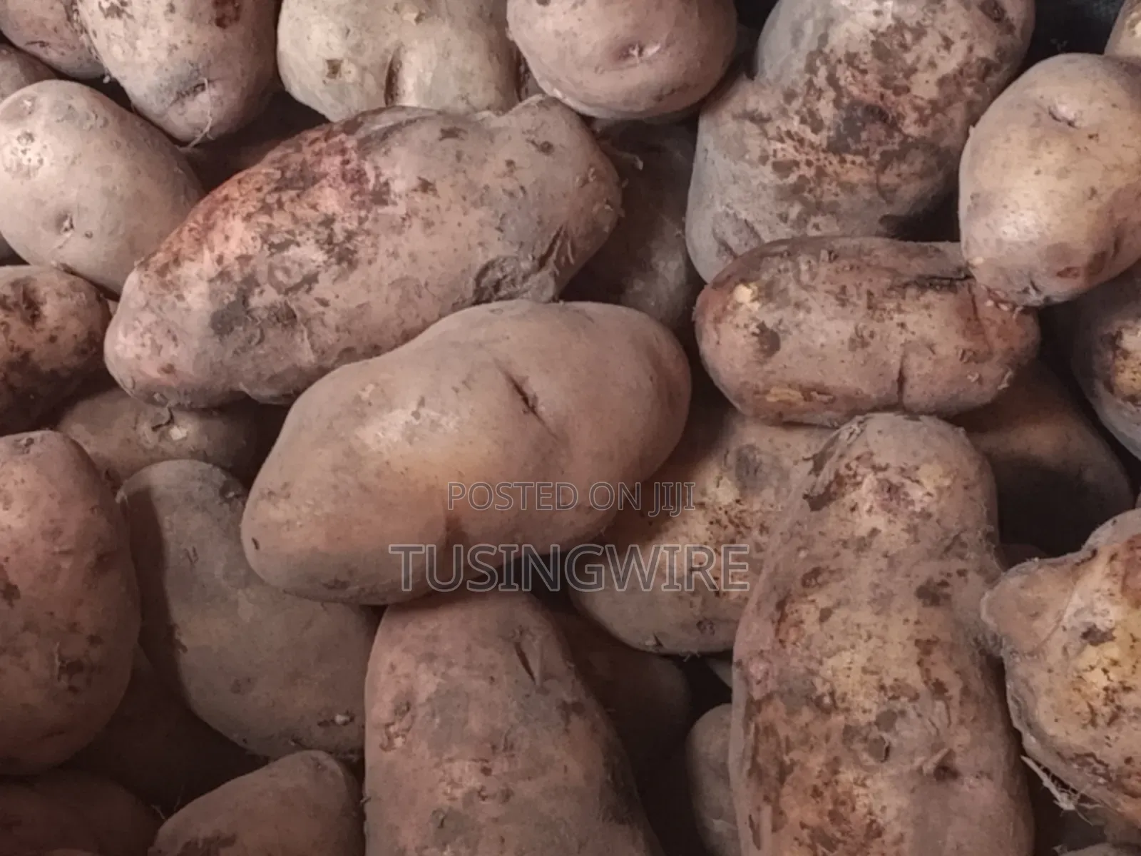 Irish Potatoes, Onions and Tomatoes