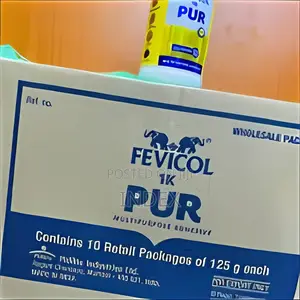 10pcs in Box 125g Fevicol PUR