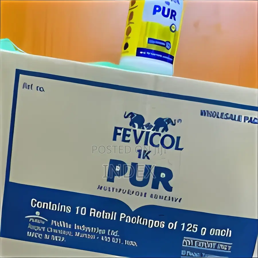 10pcs in Box 125g Fevicol PUR