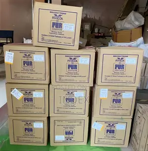 10pcs in Box 125g Fevicol PUR
