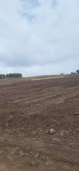Land for Sale 40 Acres Each at 9 Millions