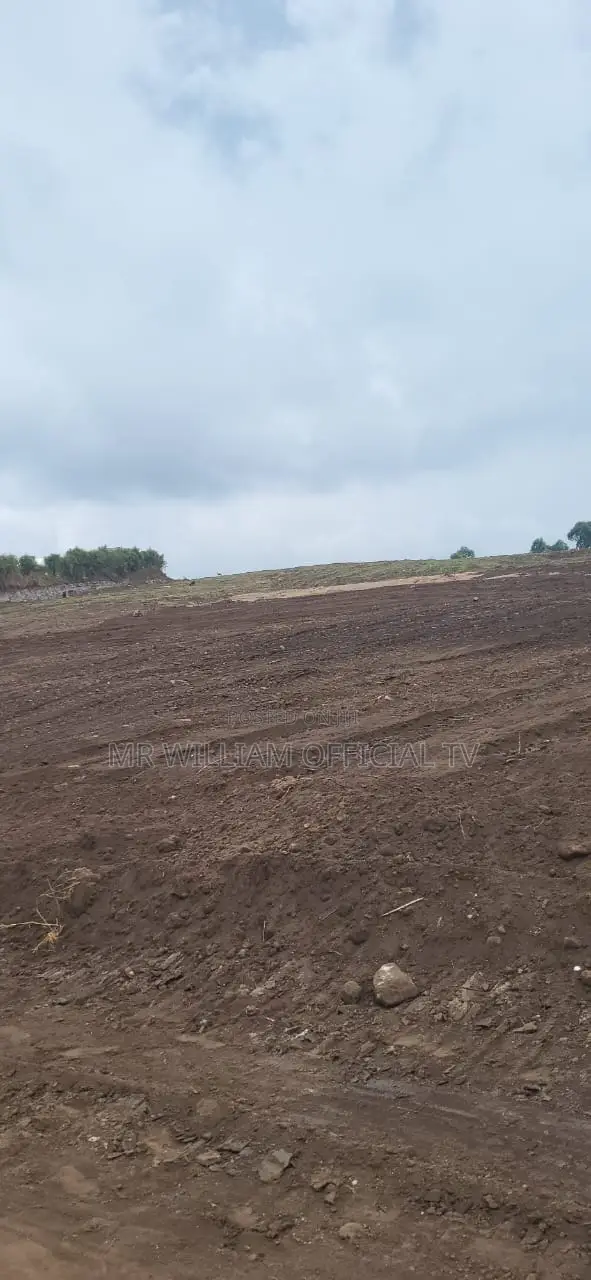 Land for Sale 40 Acres Each at 9 Millions