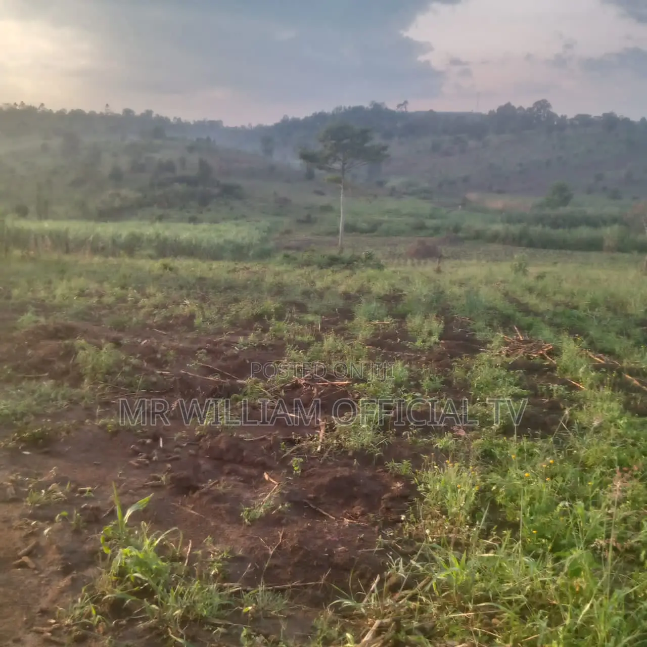 Land for Sale 40 Acres Each at 9 Millions