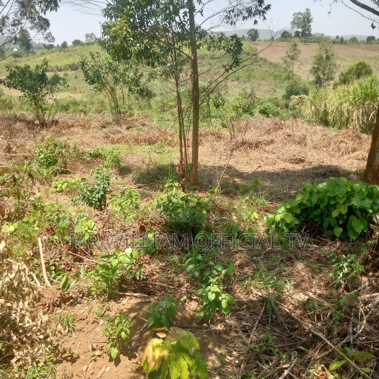Land for Sale 40 Acres Each at 9 Millions
