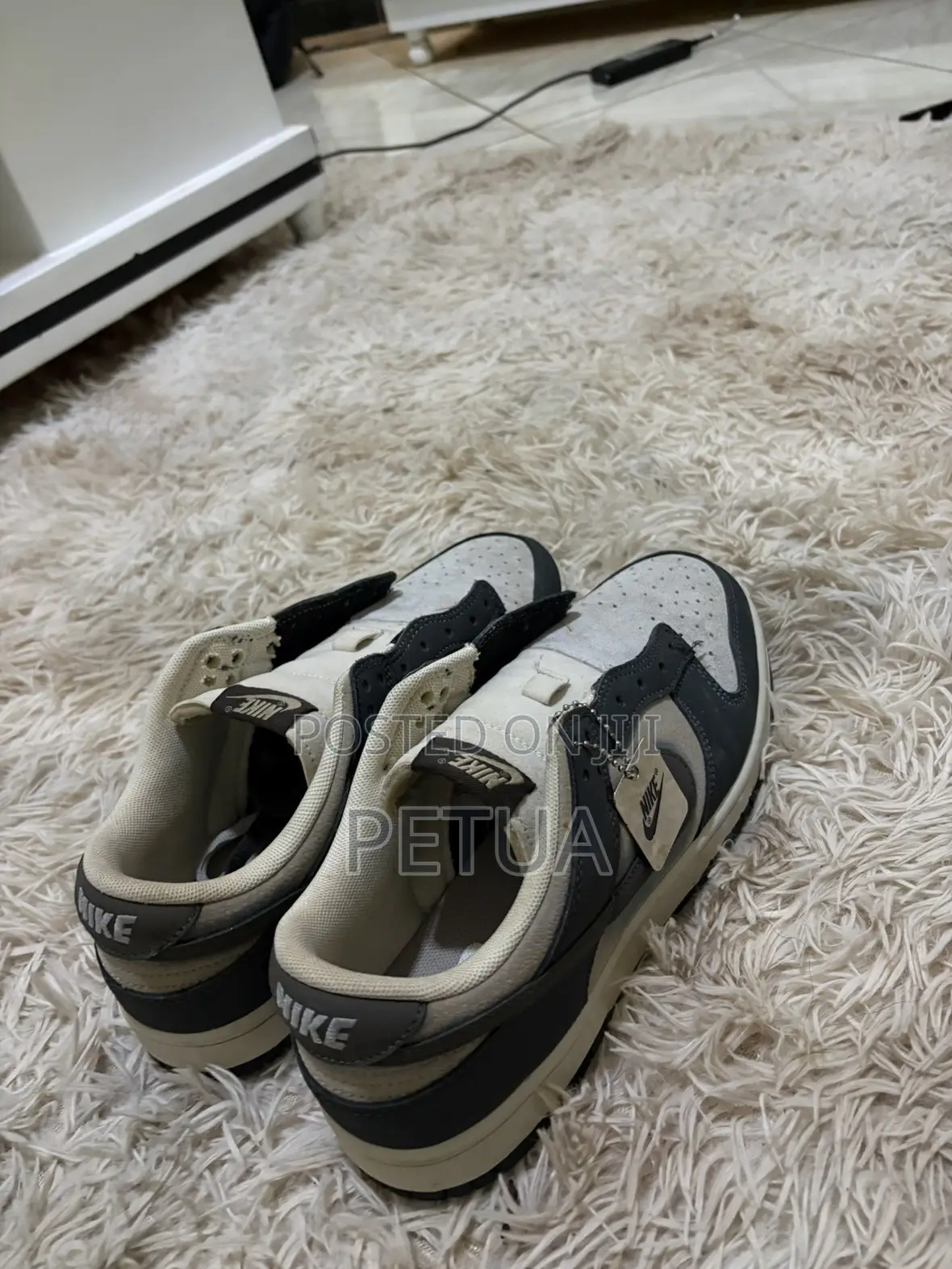 SB Dunk Lows