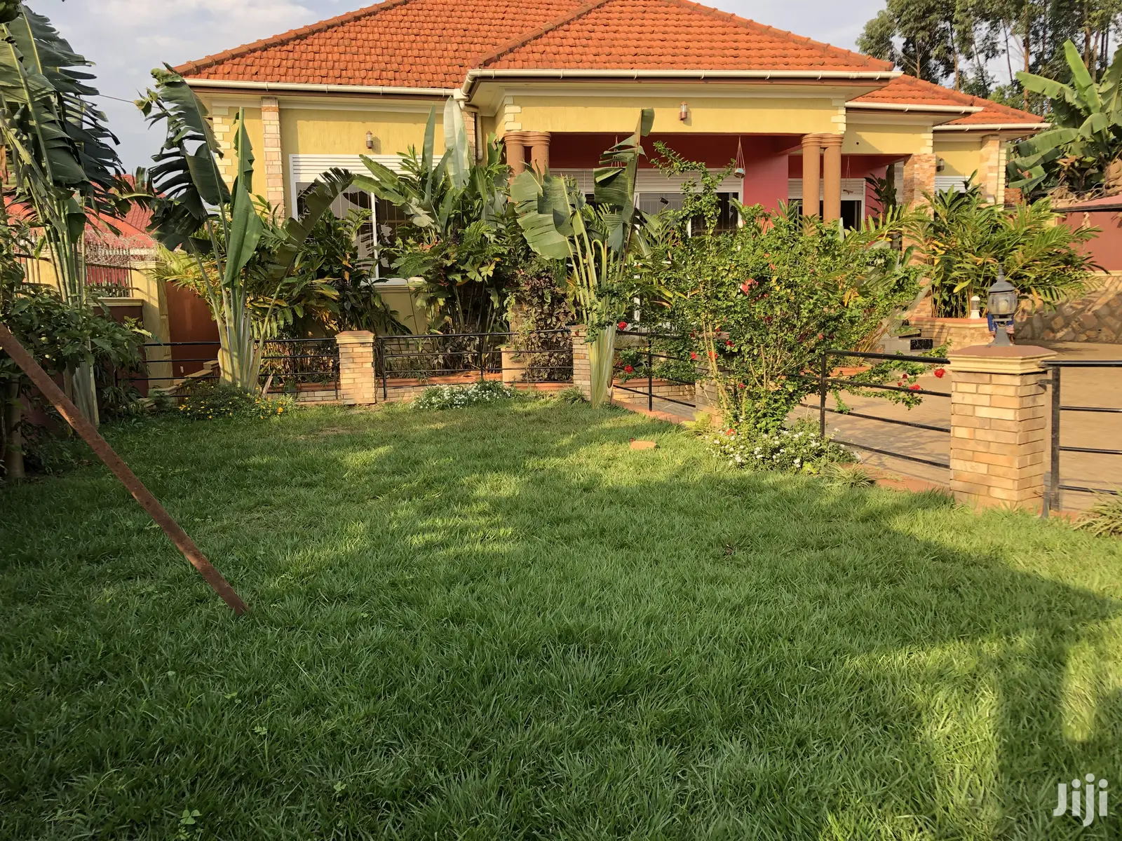Kiira Big Compound Formidable Beauty on Sell