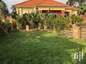 Kiira Big Compound Formidable Beauty on Sell