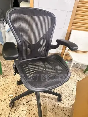 Black Mesh Ergonomic Office Chair
