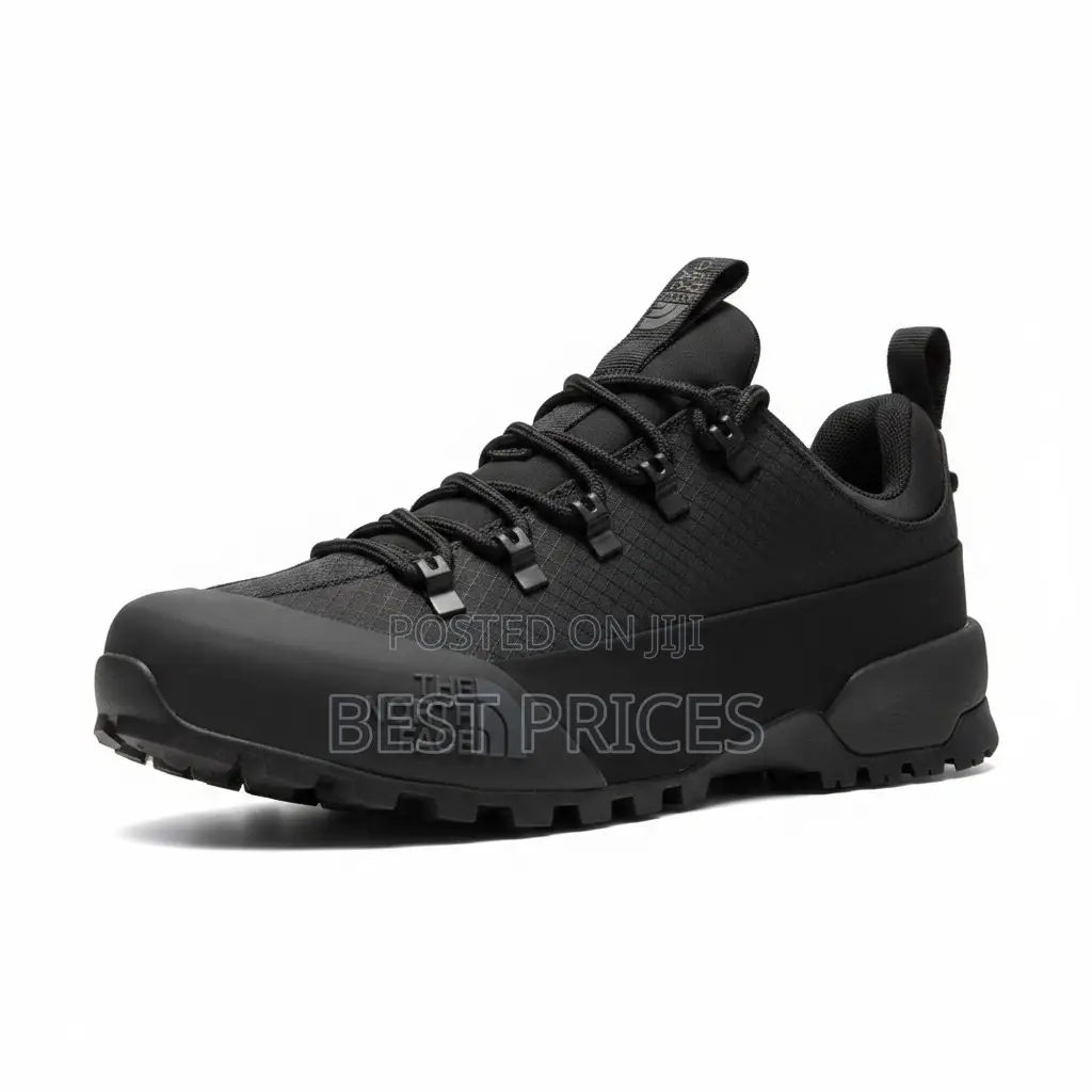 The North Face Low-Top Hiking Sneaker