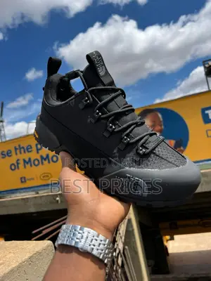 The North Face Low-Top Hiking Sneaker