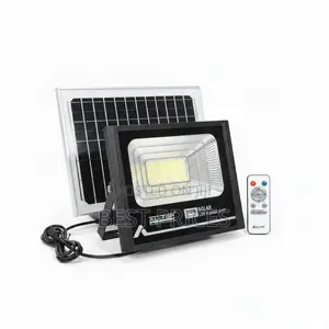 100W Solar LED Floodlight