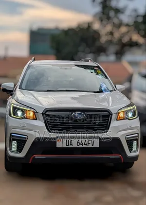 Subaru Forester 2019 Pearl