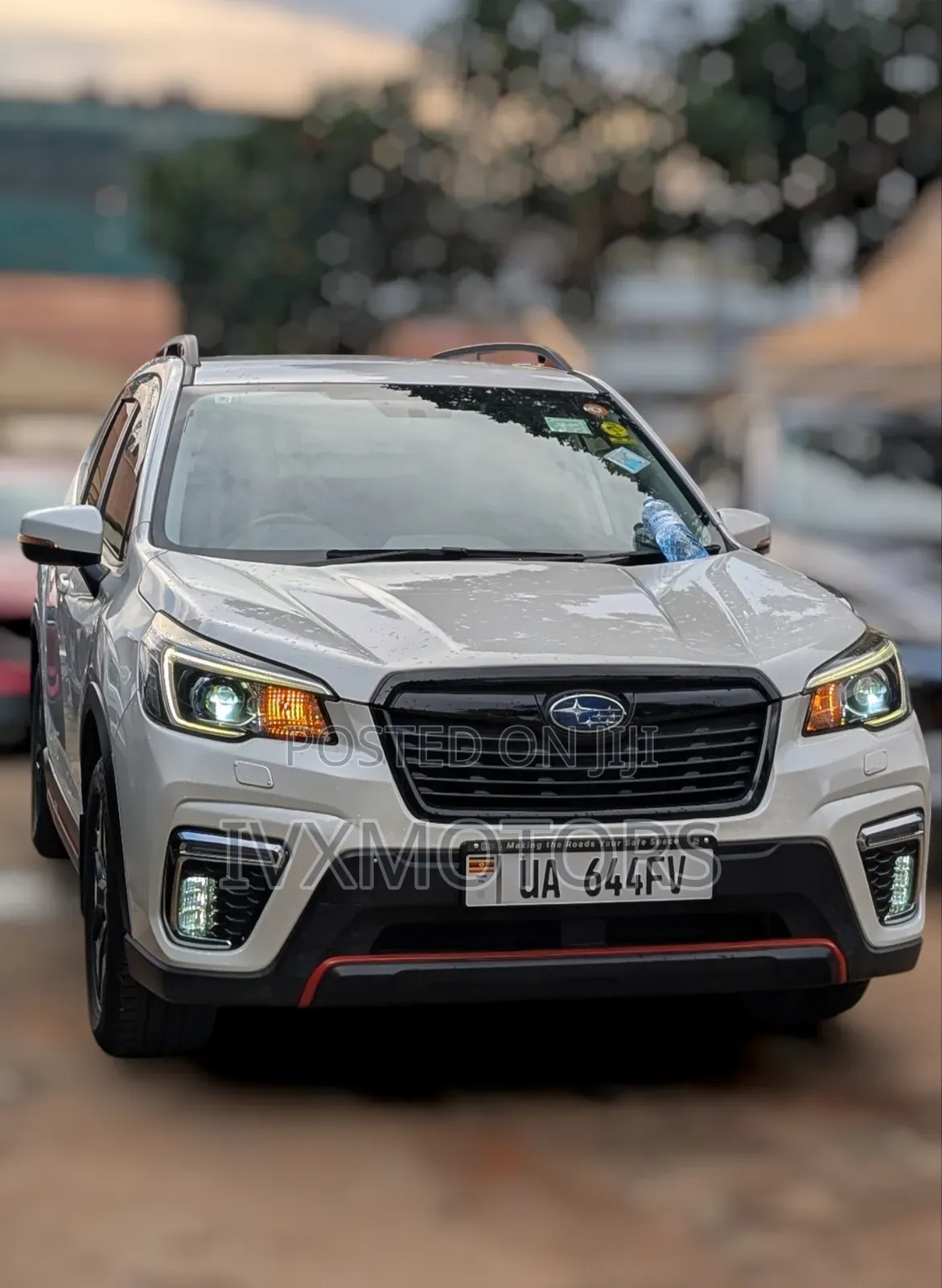 Subaru Forester 2019 Pearl