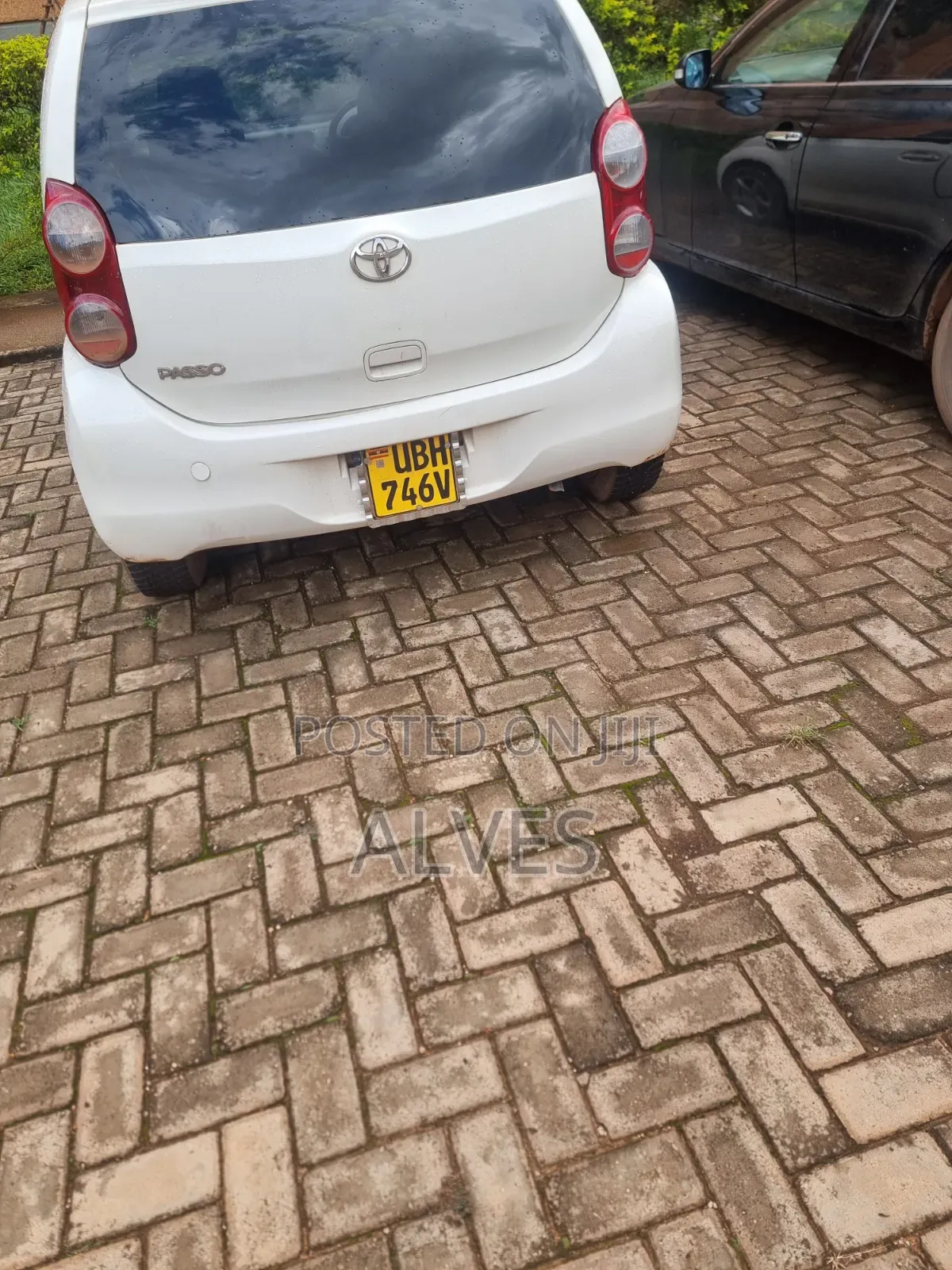 Toyota Passo 2012 White
