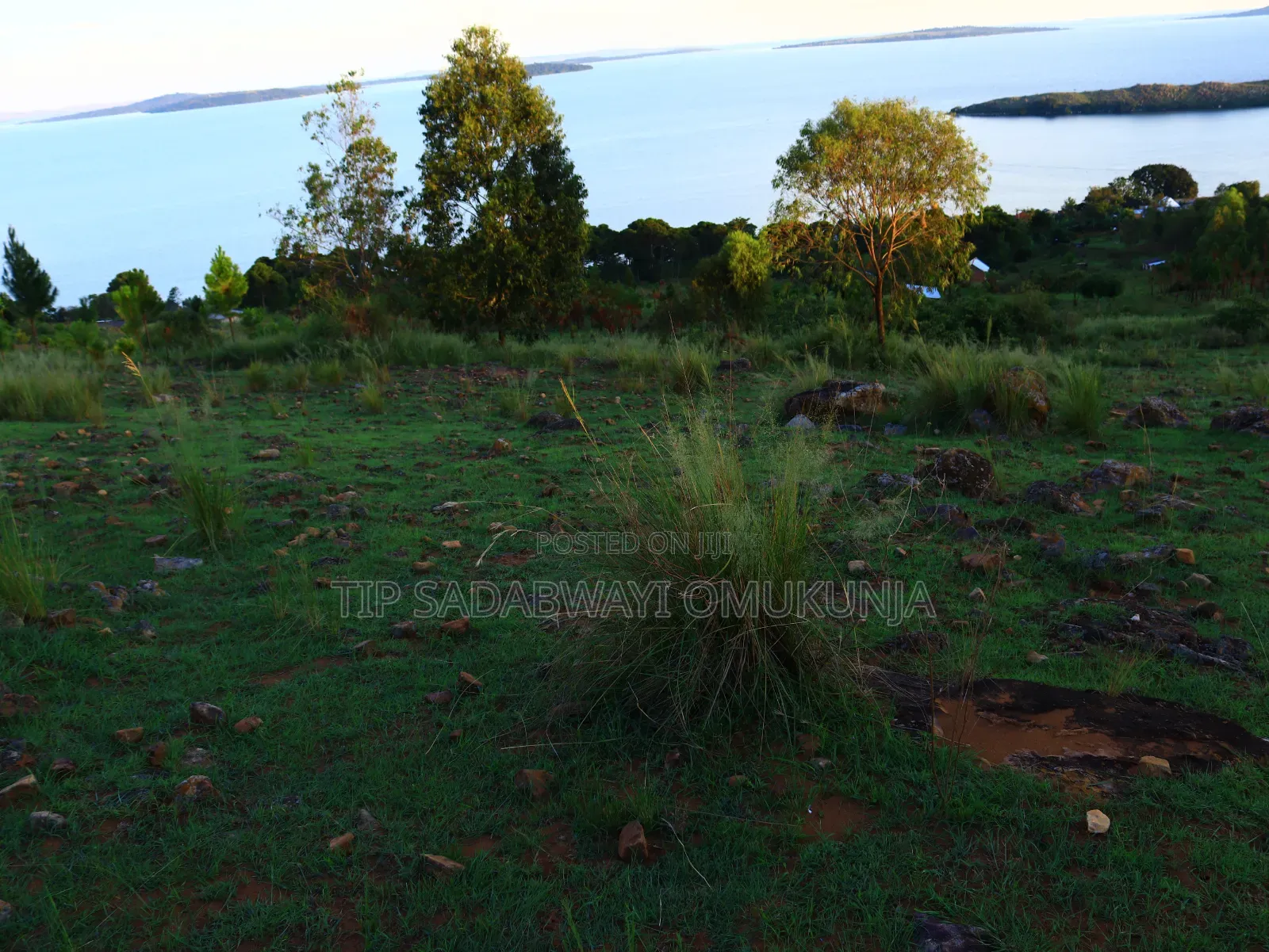 Land in Buikwe for Sale
