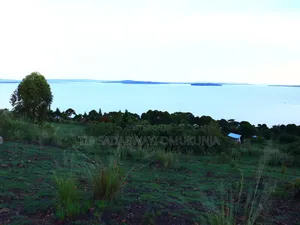 Land in Buikwe for Sale