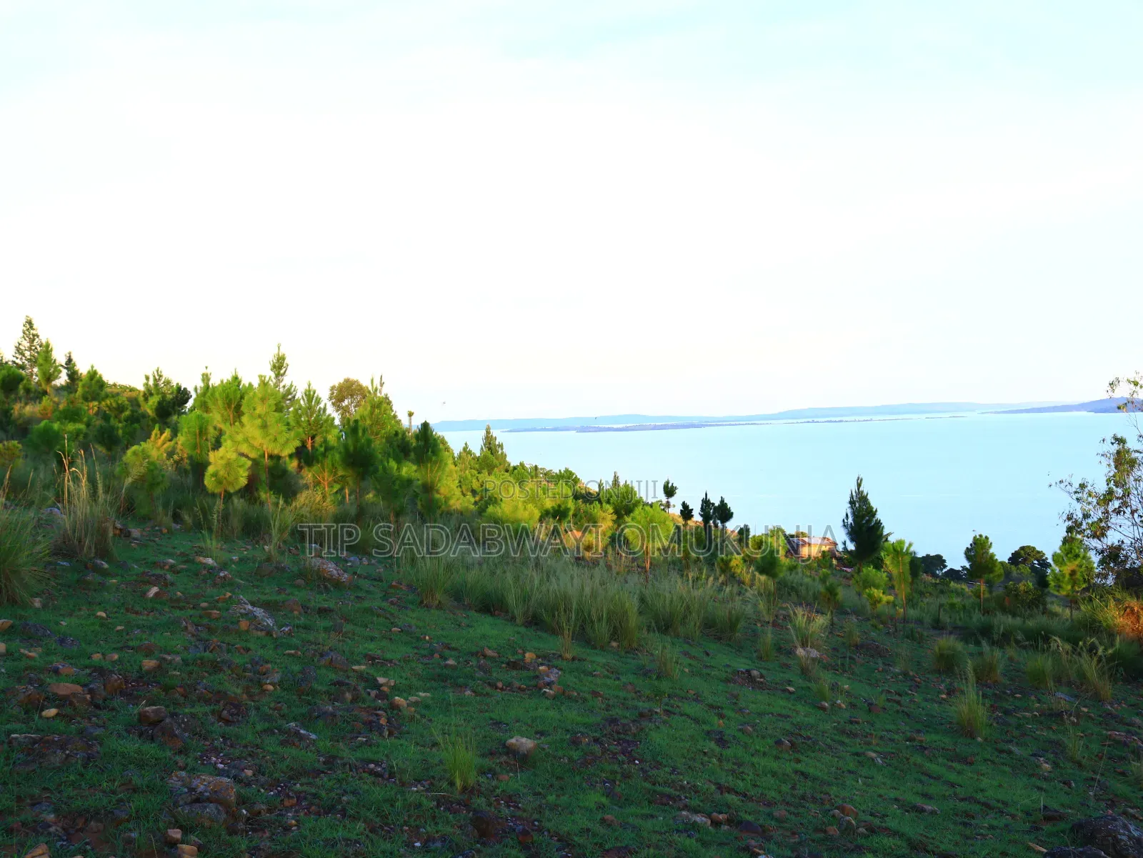 Land in Buikwe for Sale