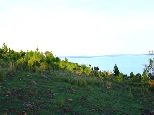 Land in Buikwe for Sale