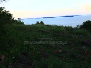 Land in Buikwe for Sale