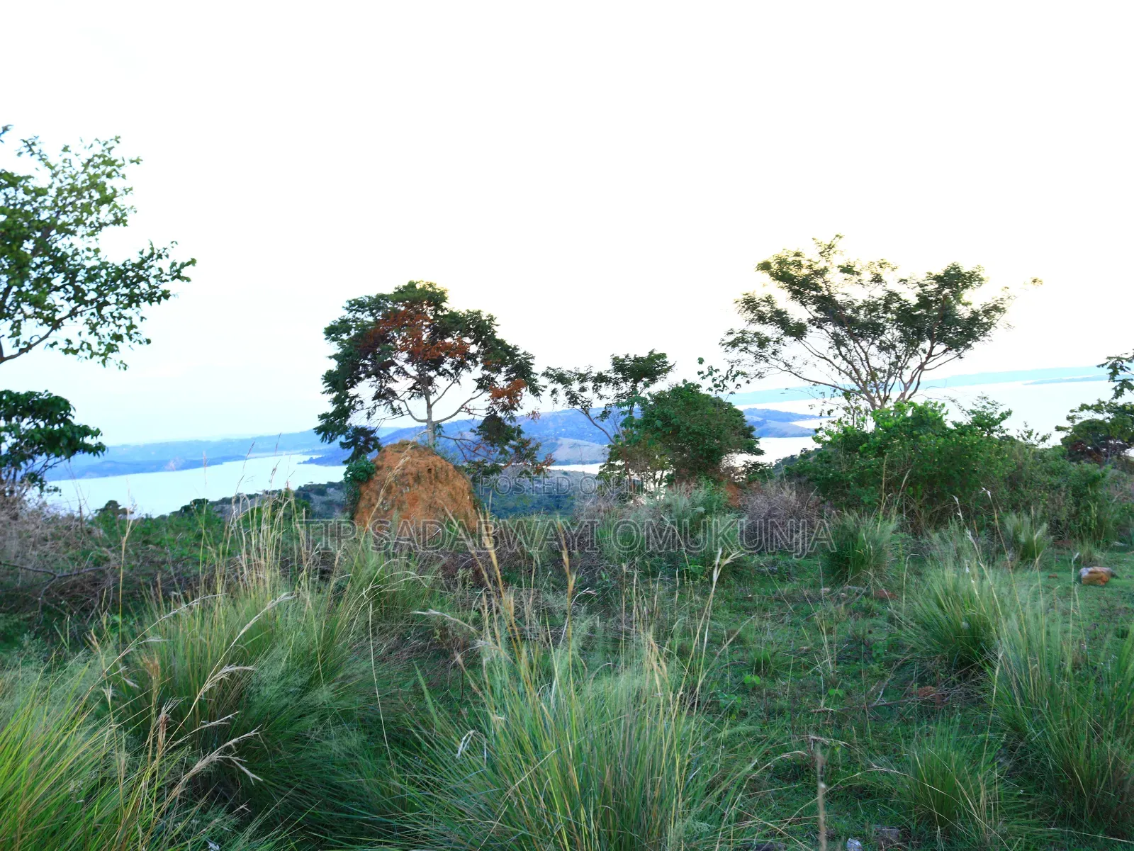 Land in Buikwe for Sale