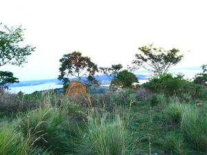 Land in Buikwe for Sale