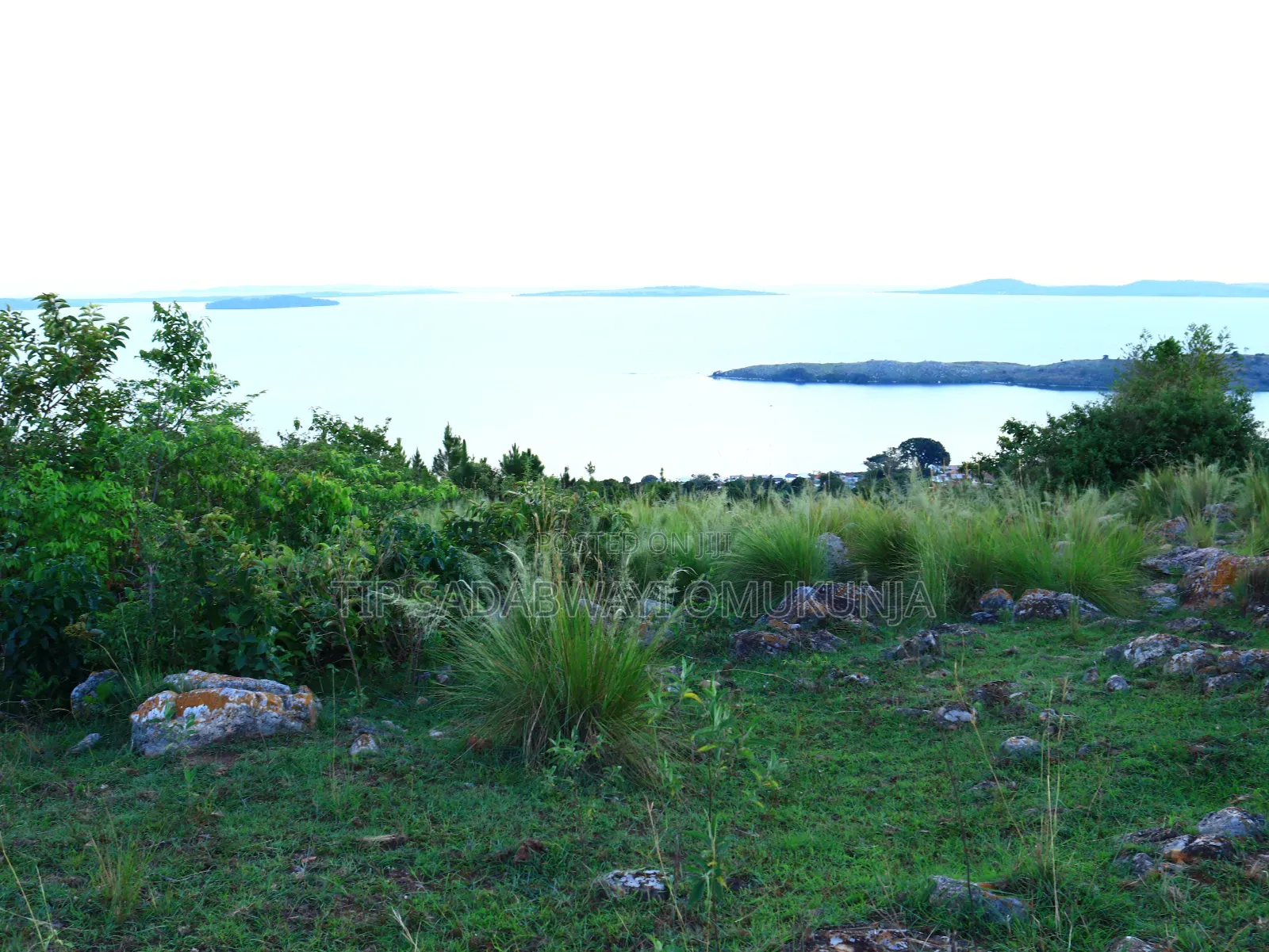 Land in Buikwe for Sale