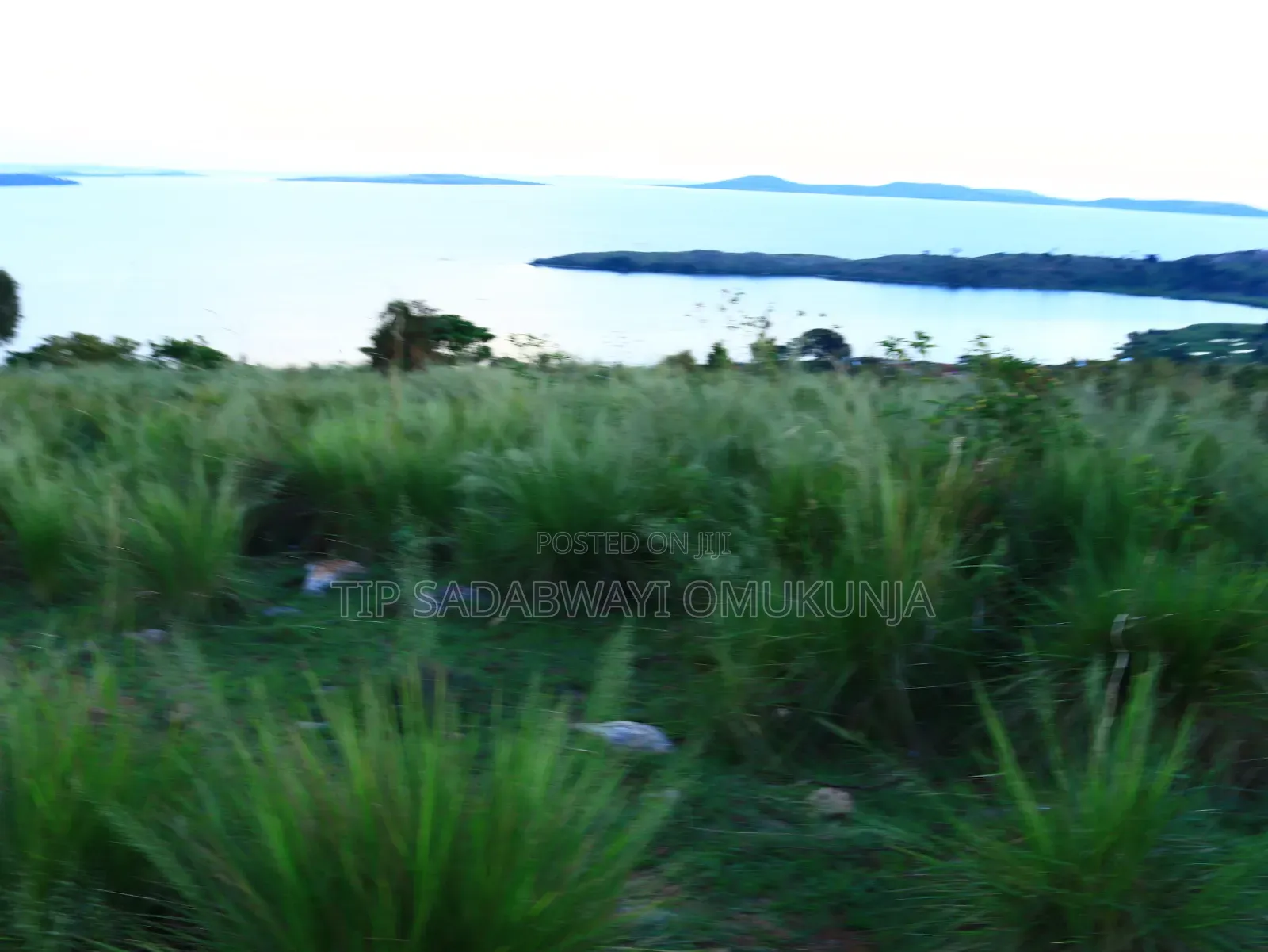 Land in Buikwe for Sale
