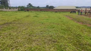 Prime Plots for Sale Located at Gayaza-Dundu