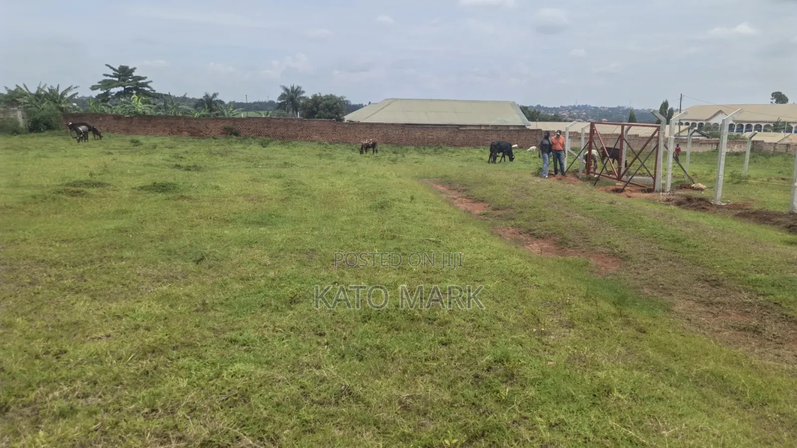 Prime Plots for Sale Located at Gayaza-Dundu