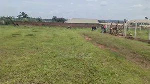Prime Plots for Sale Located at Gayaza-Dundu