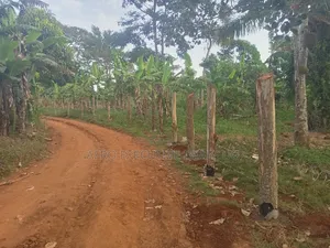 Private Milo Land at Nakasongola