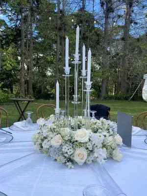 Dusty Green Wedding Decorations