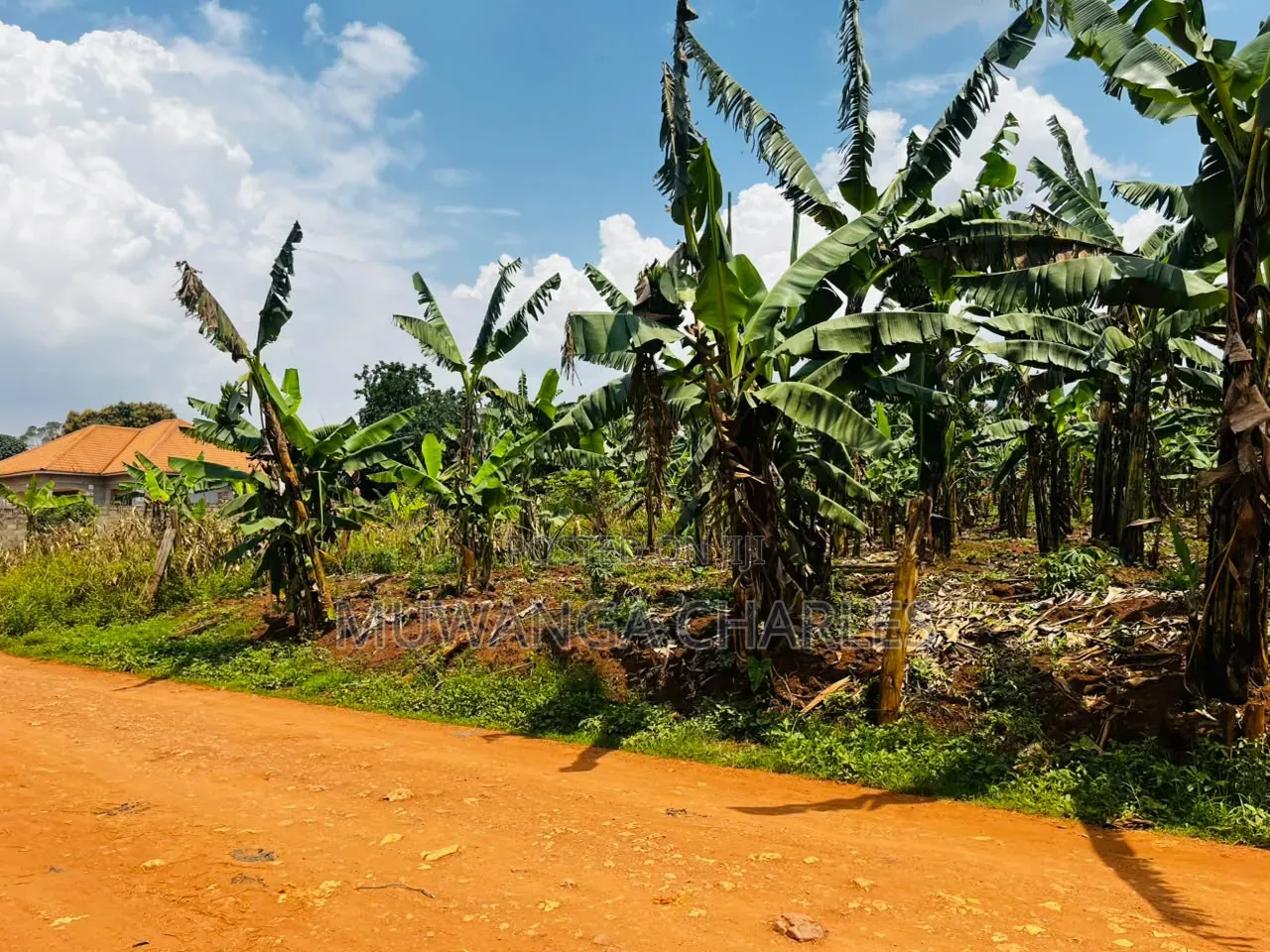 Land on Sale at Luwero Namawojja