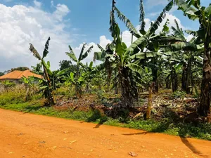 Land on Sale at Luwero Namawojja